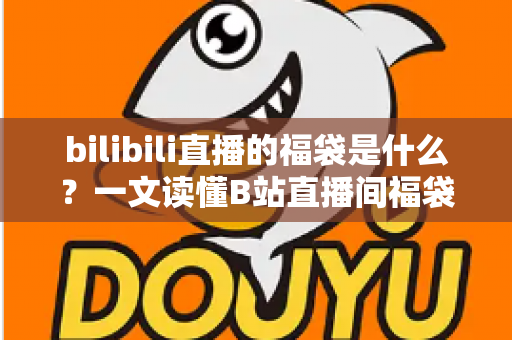 bilibili直播的福袋是什么?一文读懂B站直播间福袋玩法、规则与中奖技巧 bilibili直播的福袋是什么?一文读懂B站直播间福袋玩法、规则与中奖技巧