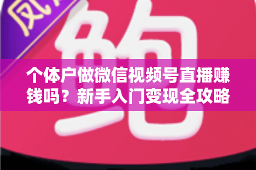 个体户做微信视频号直播赚钱吗？新手入门变现全攻略与真实收益解析
