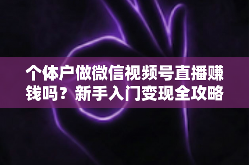 个体户做微信视频号直播赚钱吗？新手入门变现全攻略与真实收益解析