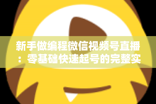 新手做编程微信视频号直播：零基础快速起号的完整实战指南