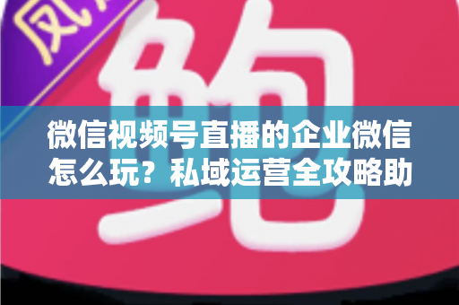 微信视频号直播的企业微信怎么玩?私域运营全攻略助力企业流量变现 微信视频号直播的企业微信怎么玩?私域运营全攻略助力企业流量变现
