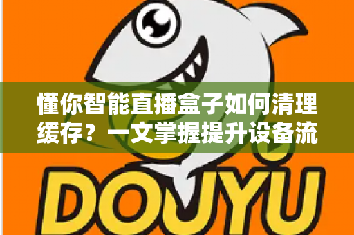 懂你智能直播盒子如何清理缓存？一文掌握提升设备流畅度的实用技巧